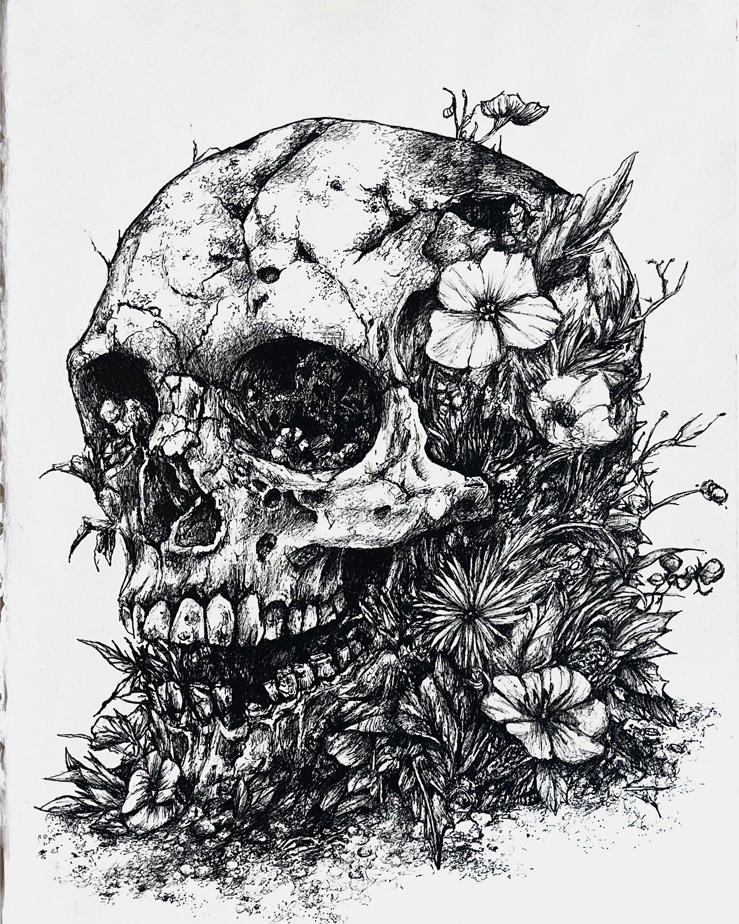 Skull, by Kirsten Flaherty