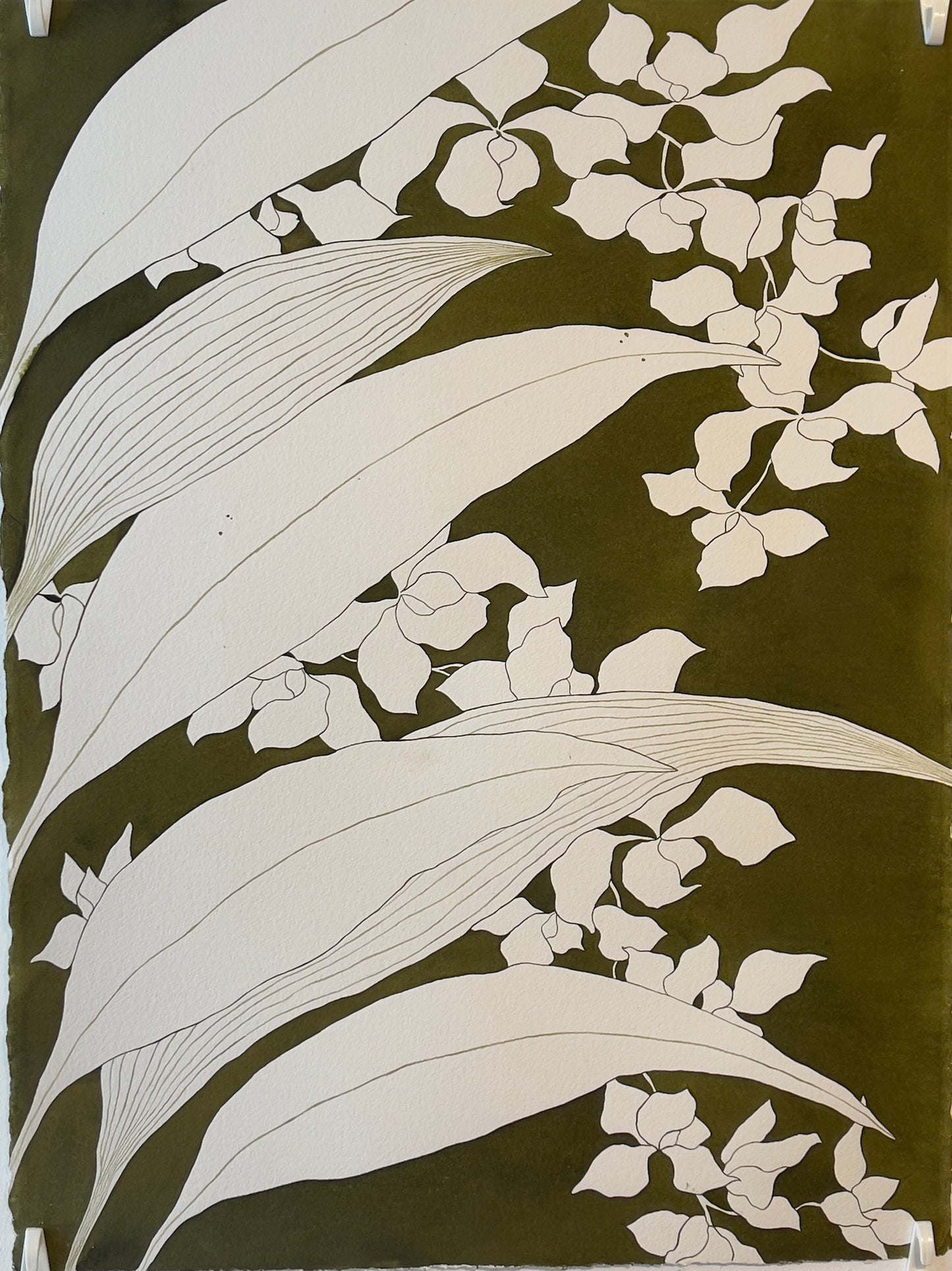 Orchids, by Olya Nekrasova