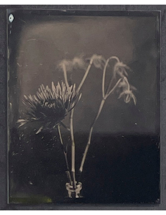 Flower 1, by Jacob Moss
