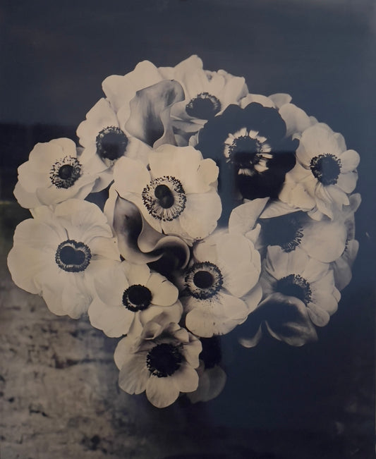 Flower Study, by Jacob Moss