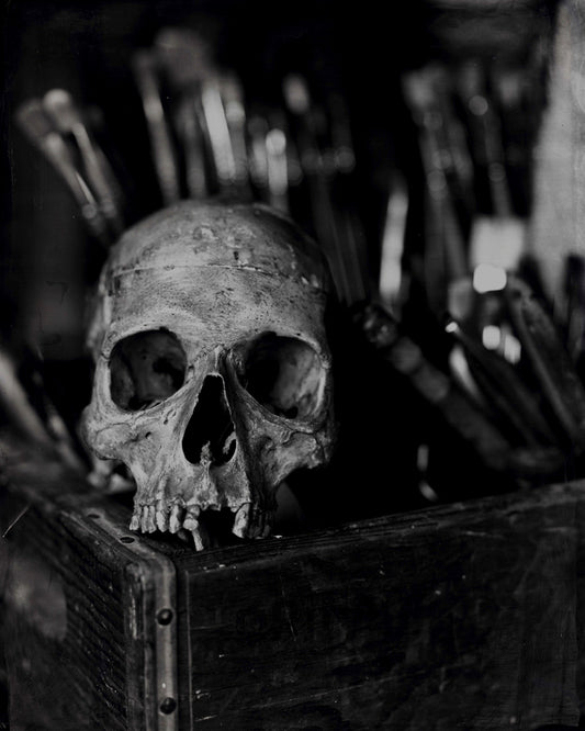 Human Skull, by Jacob Moss