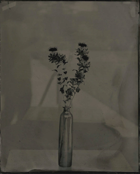 Flowers & Vase, by Jacob Moss